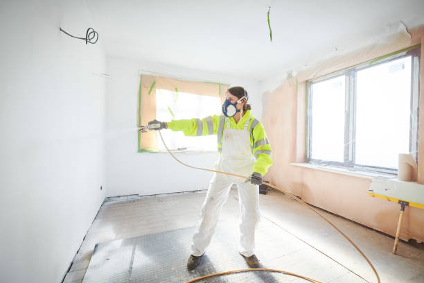 Best Water Damage & Mold Remediation  in Winthrop, IA