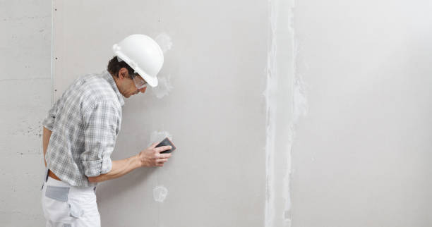 Best Mold Removal for HVAC Installations  in Winthrop, IA